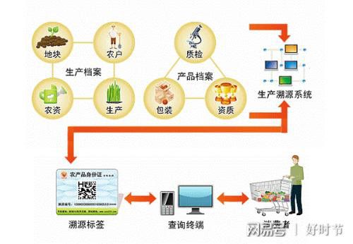 健康新方向 紅軍山藥面，信息管理服務賦能餐飲新體驗